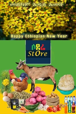 የሶደሬ አዲስ ዓመት የበአል ጥቅል 3 Sodere New Year package 3 (Ethiopia Only)