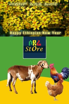 የሶደሬ አዲስ ዓመት የበአል ጥቅል 2 Sodere New Year package 2 (Ethiopia Only)