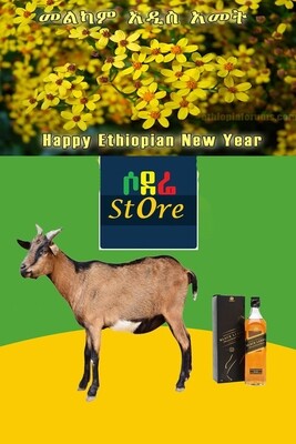 የሶደሬ አዲስ ዓመት የበአል ጥቅል 4 Sodere New Year package 4 (Ethiopia Only)