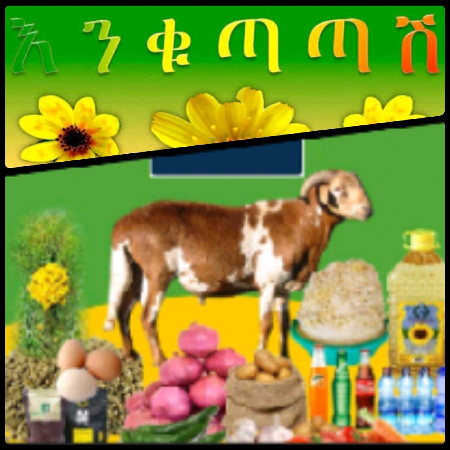 የሶደሬ የአዲስ ዓመት ጥቅል 9 New year package 9 (Ethiopia Only)