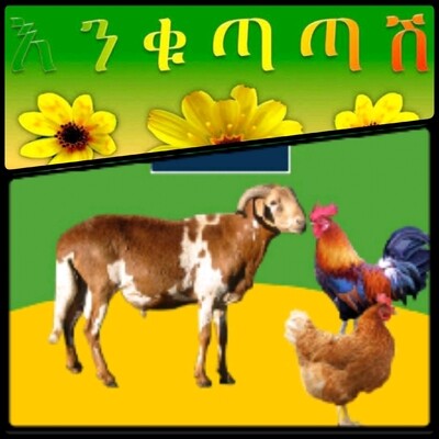 የሶደሬ የአዲስ ዓመት ጥቅል 2 New year package 2 (Ethiopia Only)
