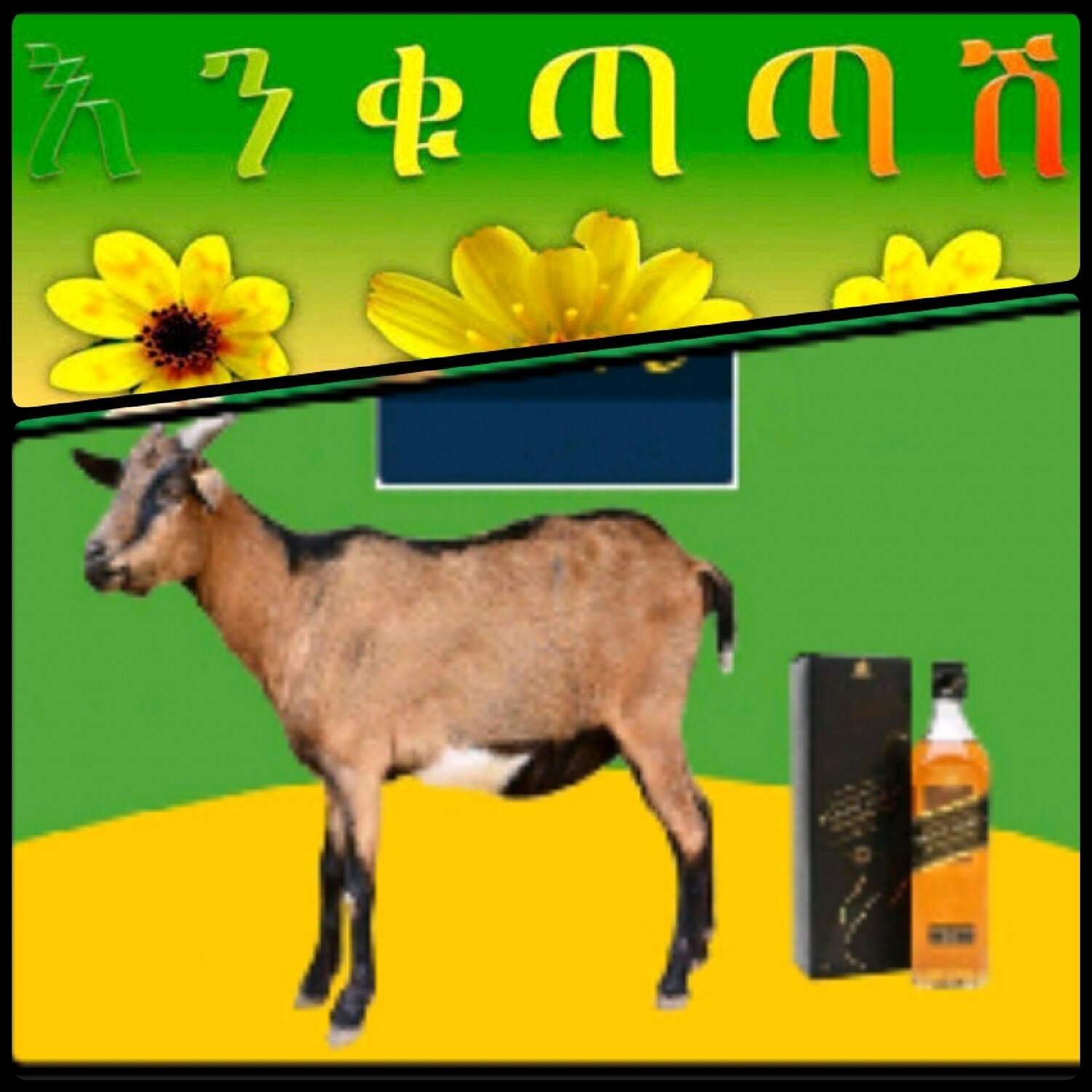 የሶደሬ የአዲስ ዓመት ጥቅል 4 New year package 4 (Ethiopia Only)