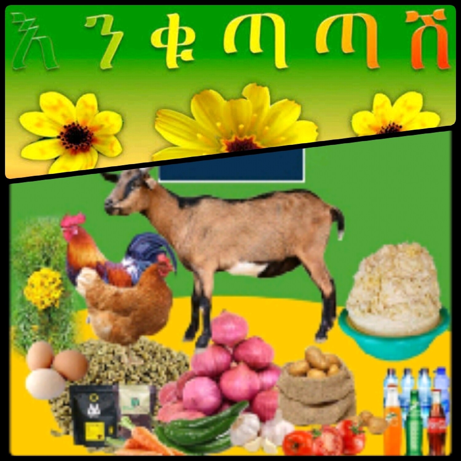 የሶደሬ የአዲስ ዓመት ጥቅል 3 New year package 3 (Ethiopia Only)