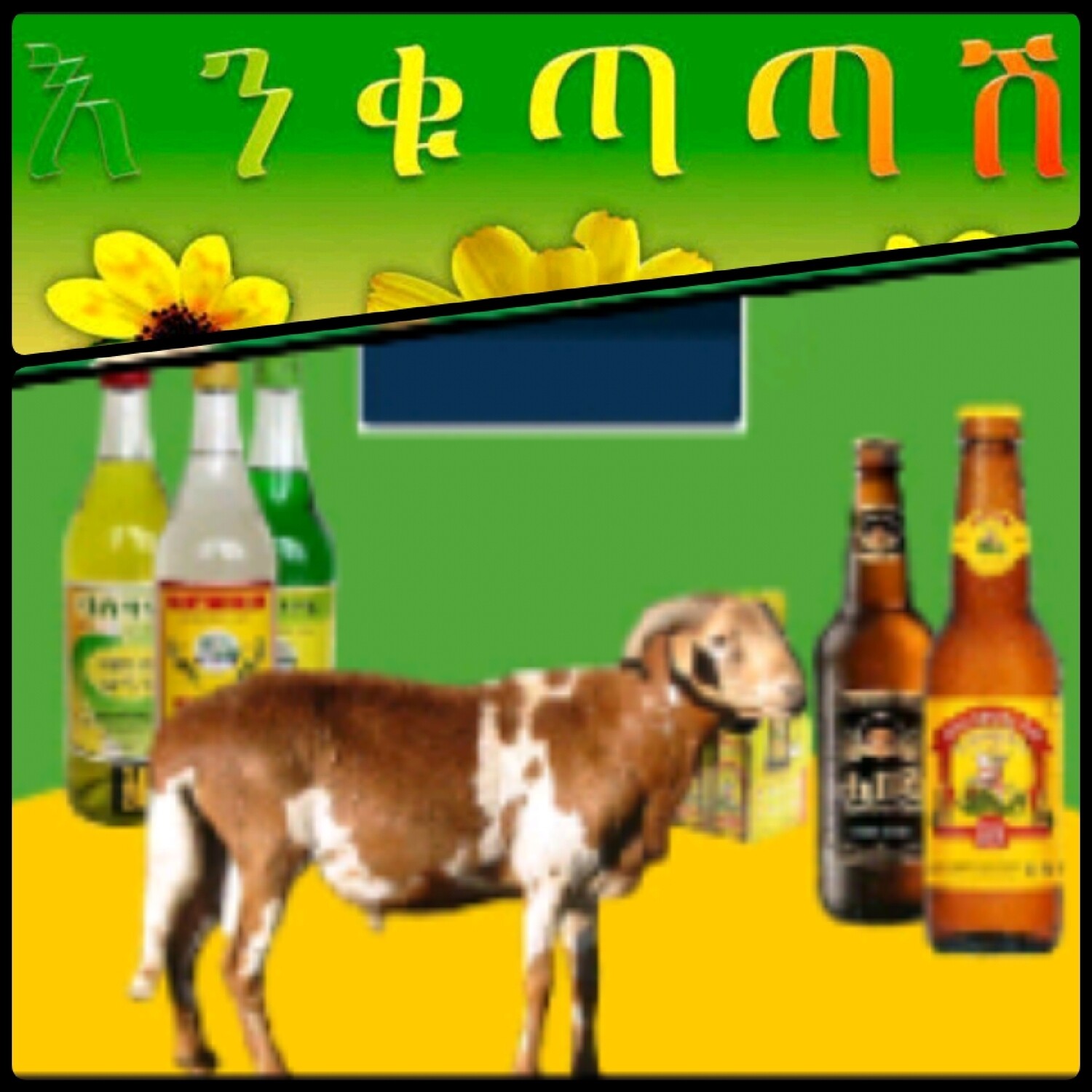 የሶደሬ የአዲስ ዓመት ጥቅል 10 New year package 10 (Ethiopia Only)