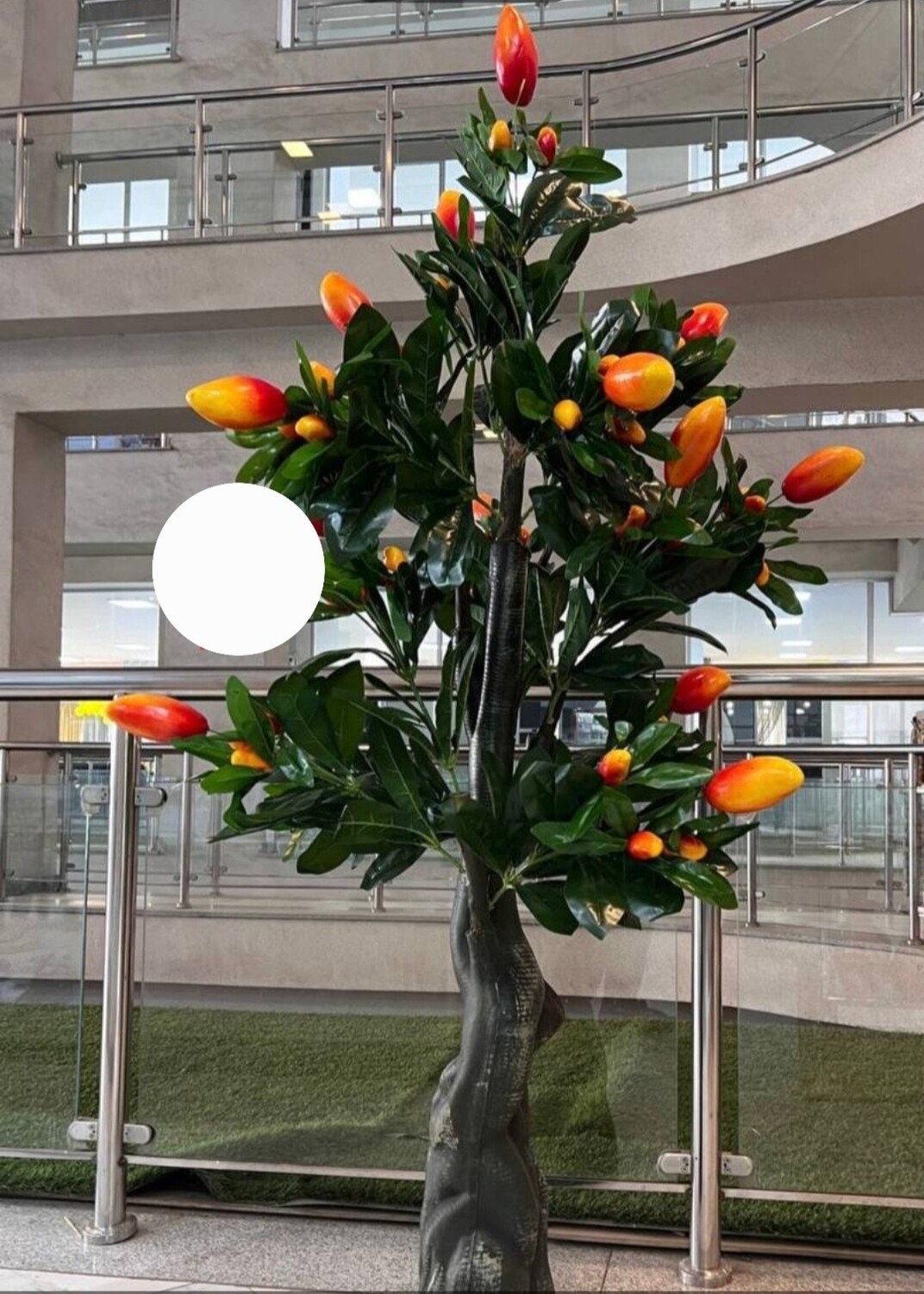 ኮርነር አበባ