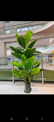 ኮርነር አበባ