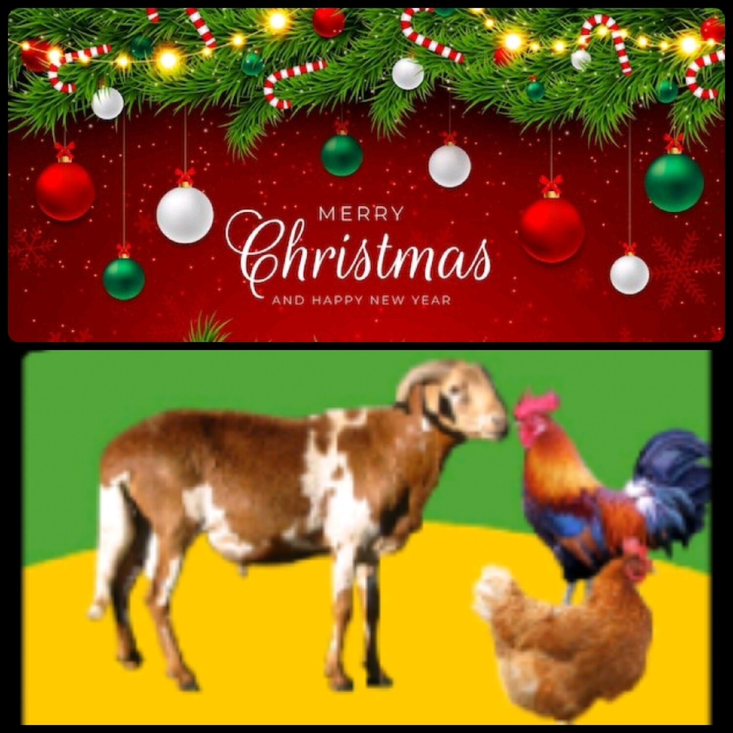 የሶደሬ የገና በዓል ጥቅል 2 sodere Christmas package 2 (Ethiopia Only)