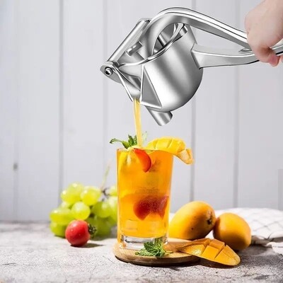 Fruit manual press