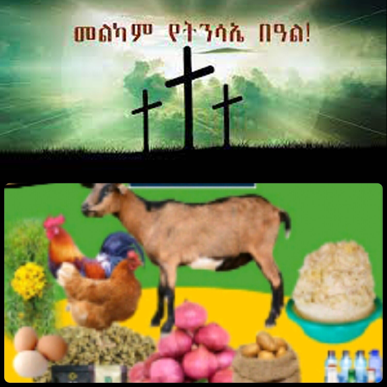 የሶደሬ የፋሲካ በአል ጥቅል 3 Sodere Easter Holiday Package 3(Ethiopia Only)