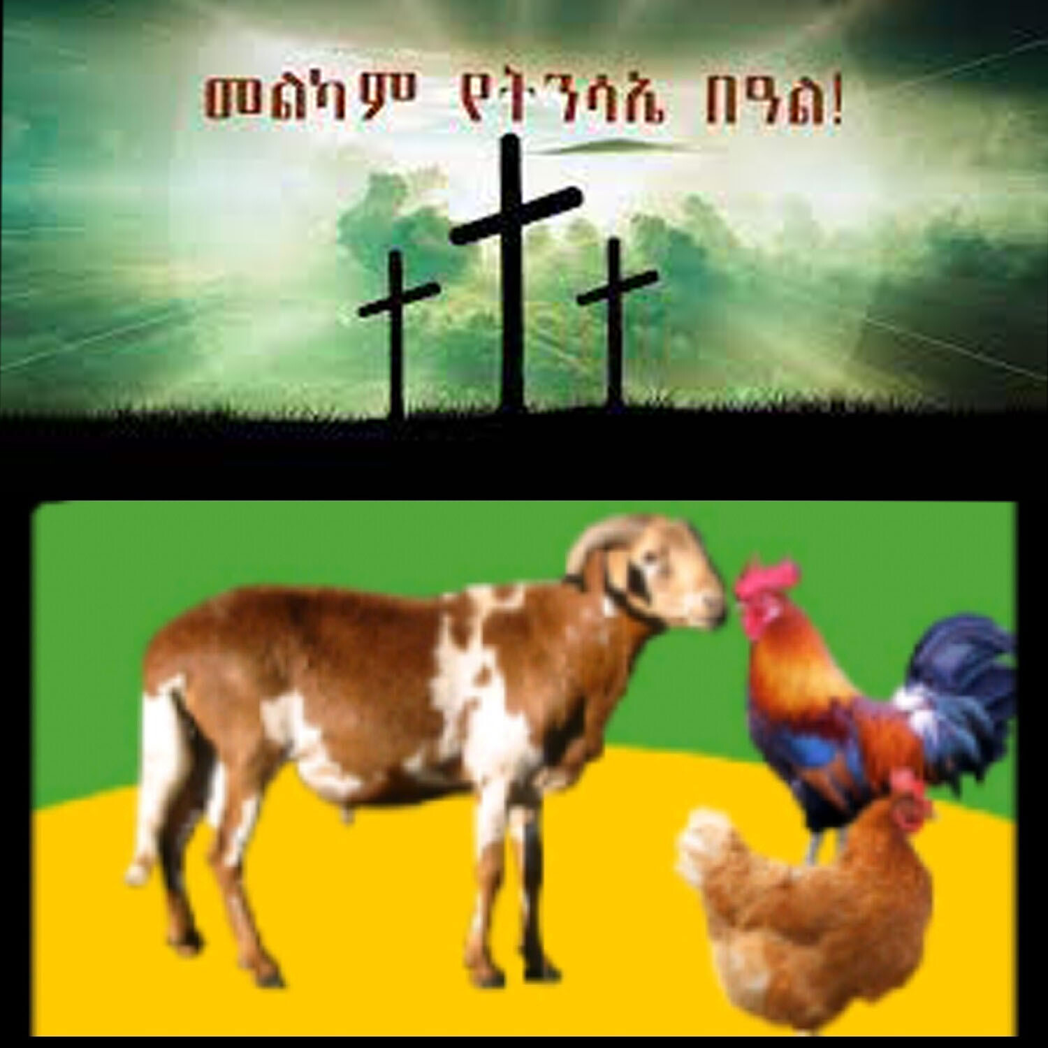 የሶደሬ የፋሲካ በአል ጥቅል 2 Sodere Easter Holiday Package 2 (Ethiopia Only)