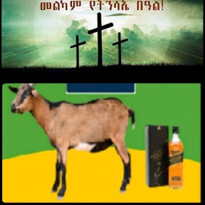 የሶደሬ የፋሲካ በአል ጥቅል 4 Sodere Easter Holiday Package 4(Ethiopia Only)