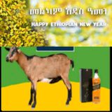 የሶደሬ የአዲስ ዓመት በአል ጥቅል 4 Sodere New Year Holiday Package 4(Ethiopia Only)