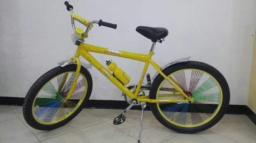 Vibrant mount bike 24