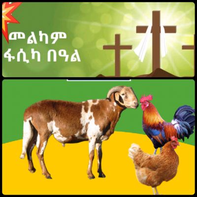 የሶደሬ የፋሲካ በአል ጥቅል 2 Sodere  Easter Holiday Package 2 (Ethiopia Only)