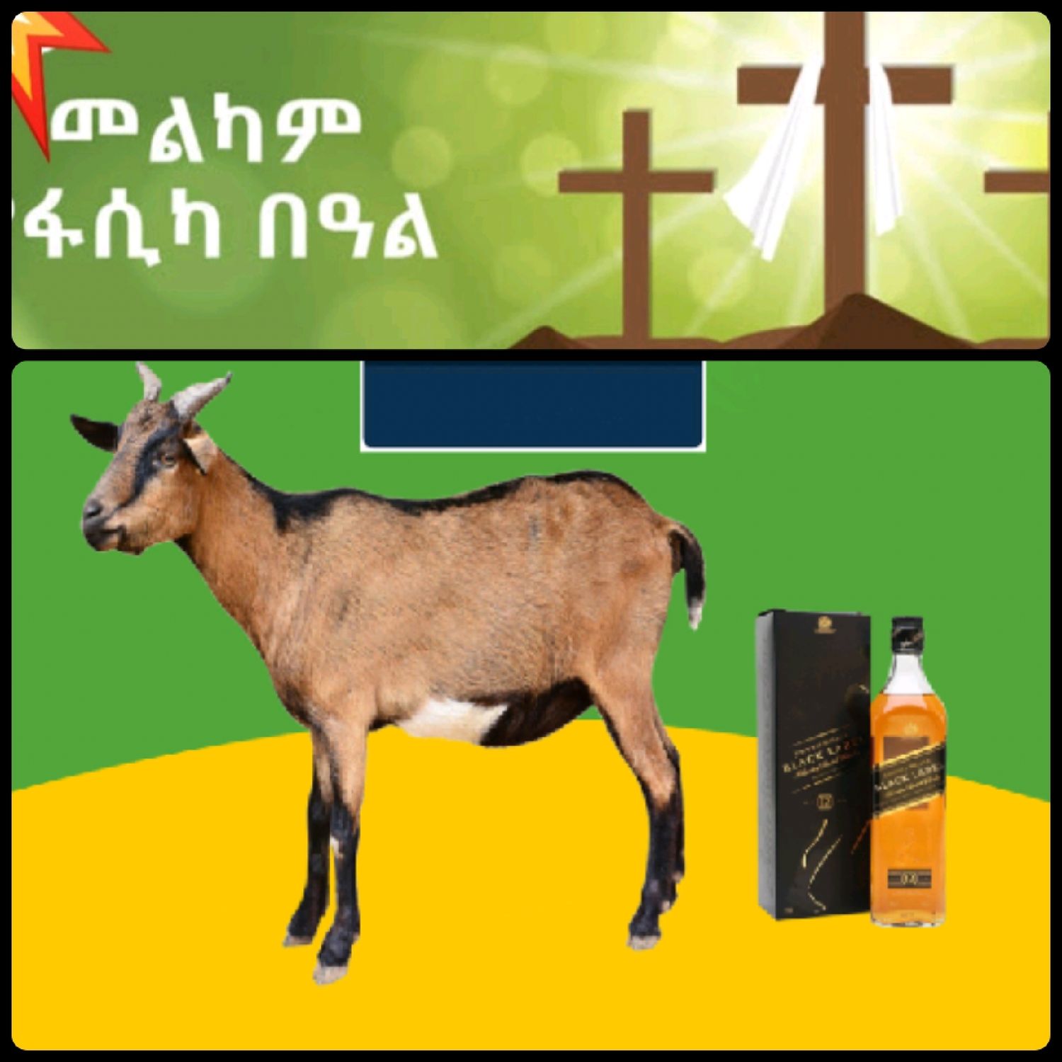 የሶደሬ የፋሲካ በአል ጥቅል 4 Sodere  Easter Holiday Package 4 (Ethiopia Only)