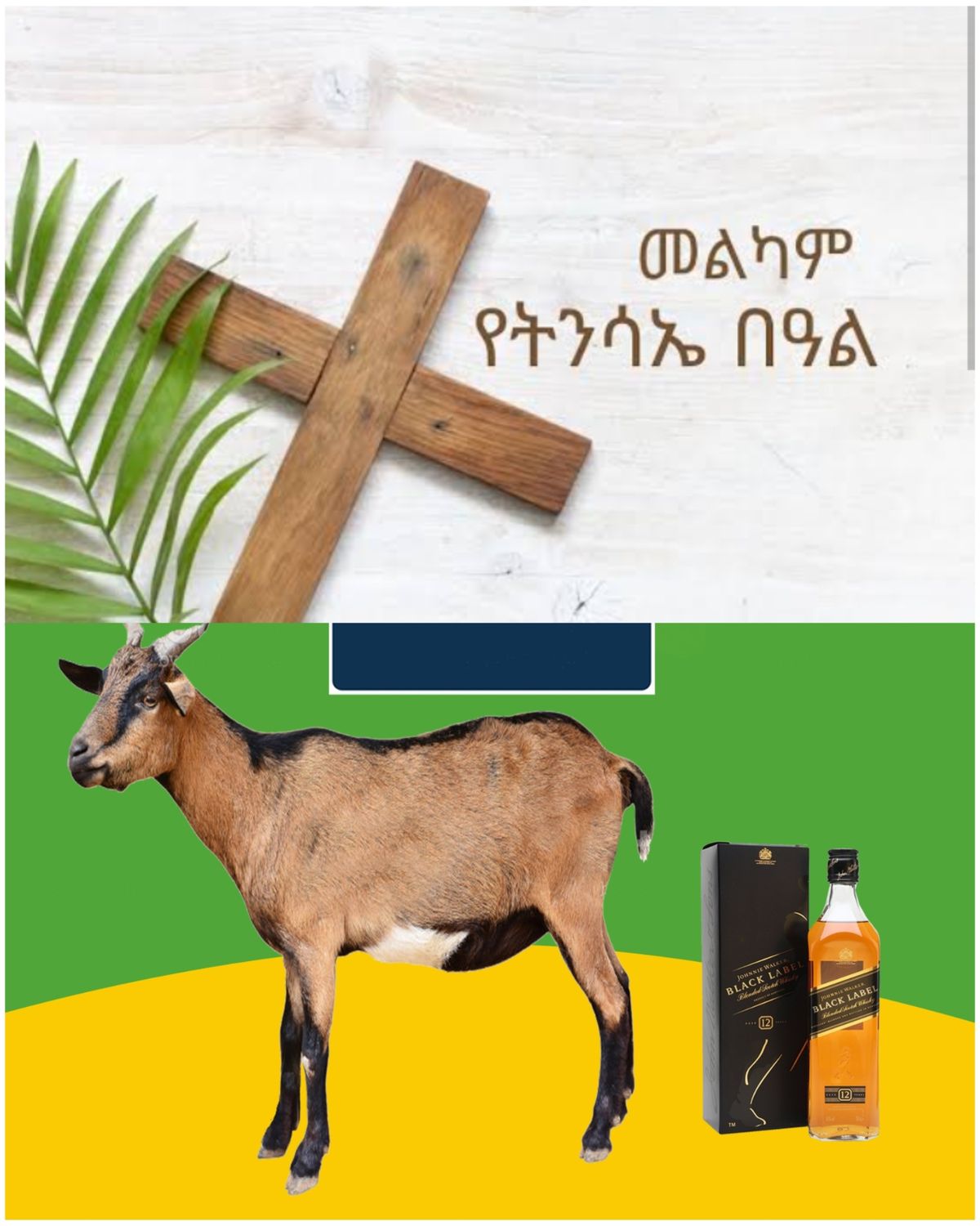 የሶደሬ የፋሲካ በአል ጥቅል 4 Sodere  Easter Holiday Package 4 (Ethiopia Only)