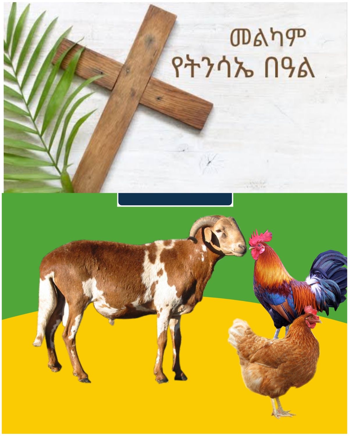 የሶደሬ የፋሲካ በአል ጥቅል 2 Sodere  Easter Holiday Package 2 (Ethiopia Only)