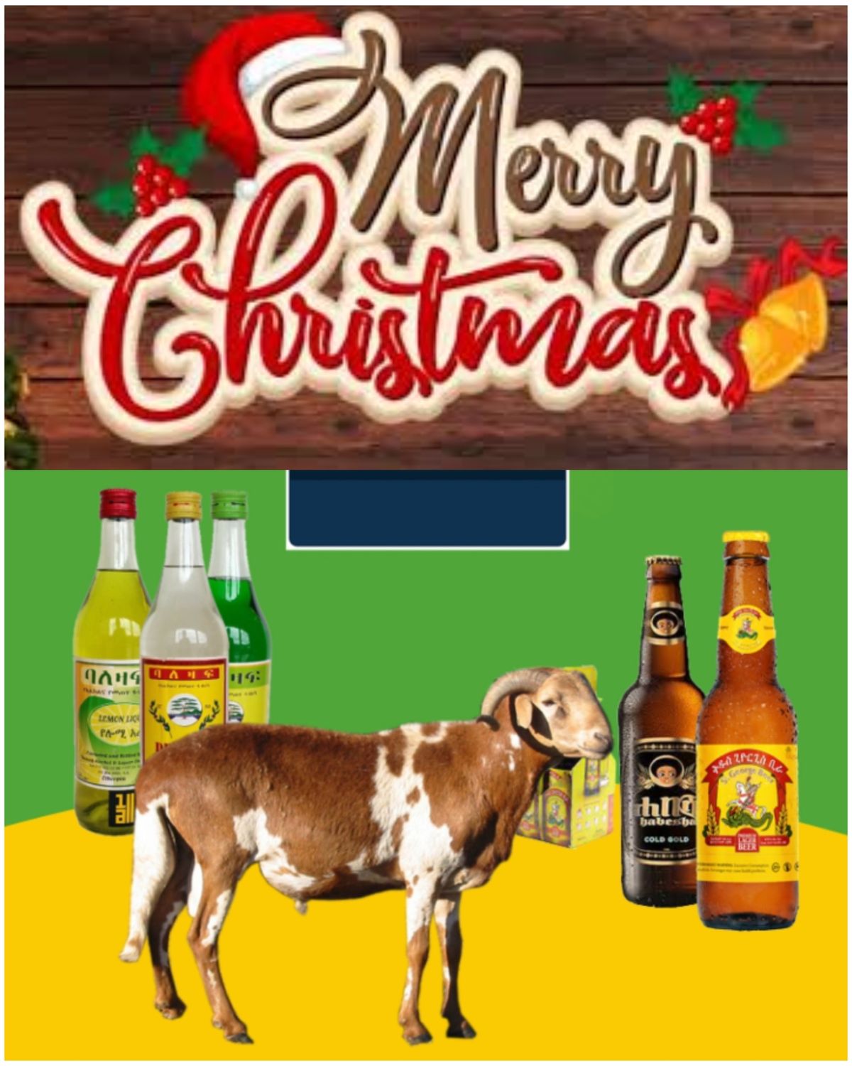 የሶደሬ የገና በአል ጥቅል 10 Sodere  Christmas Holiday Package 10 (Ethiopia Only)