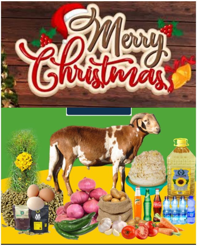 የሶደሬ የገና በአል ጥቅል 9 Sodere  Christmas Holiday Package 9 (Ethiopia Only)