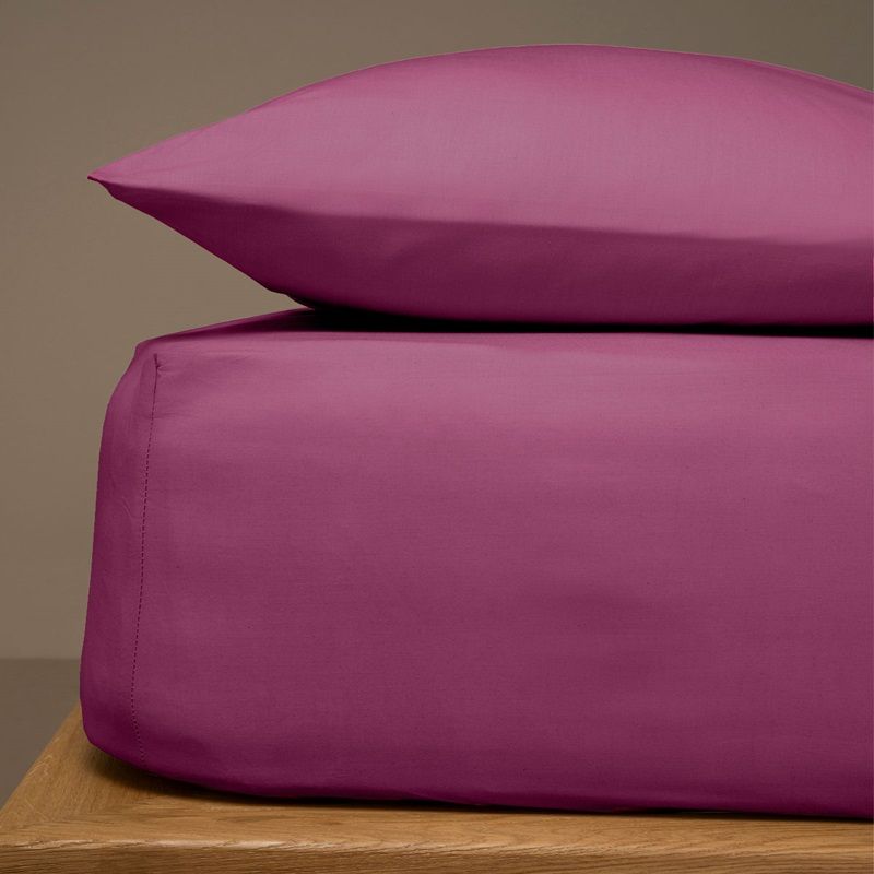 Σεντόνι Λάστιχο Ημίδιπλο 120Χ200+25 εκ. Menta 10 Mauve - Sunshine