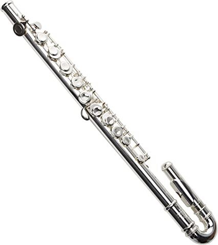 Flauta Roy Benson de plata con estuche