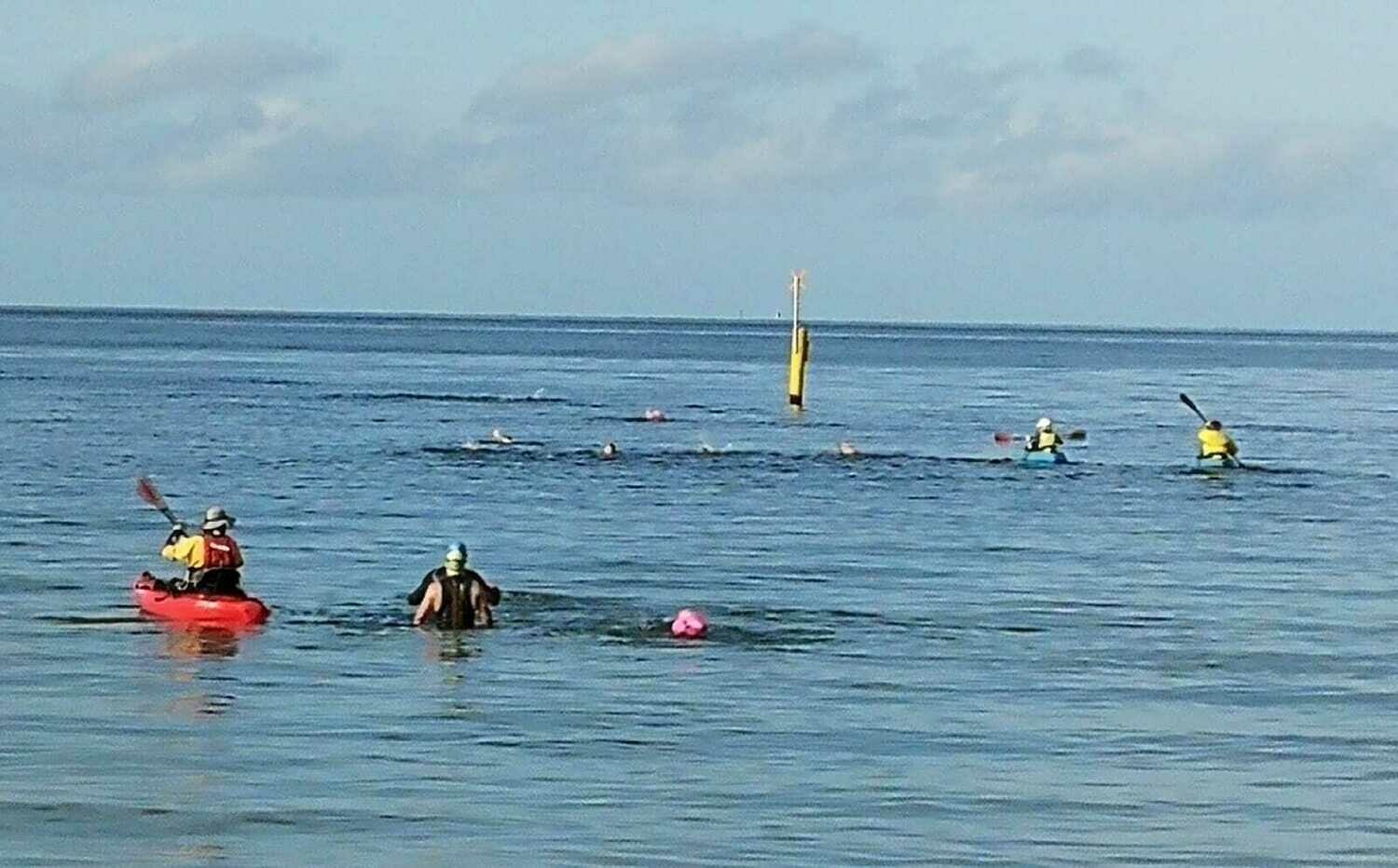 Private swimming session