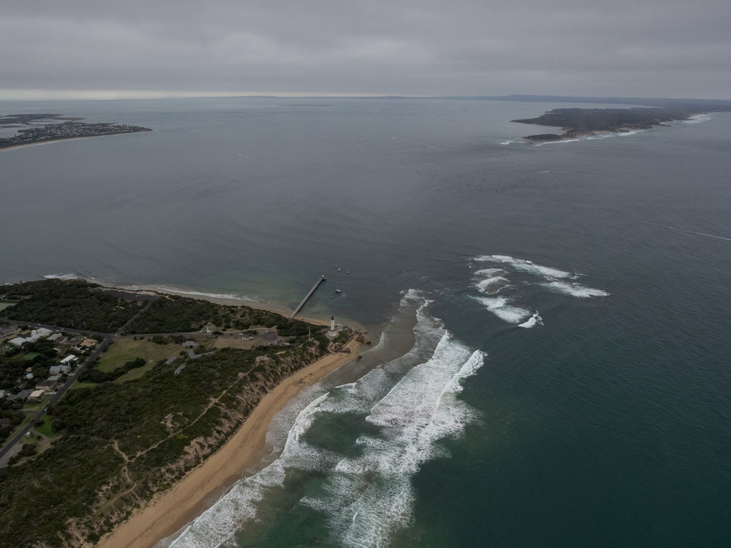 Offshore Swimming - Bass Strait, October 10 (back up date - 11th) Offshore Swimming - Bass Strait, October 10 (back up date - 11th)