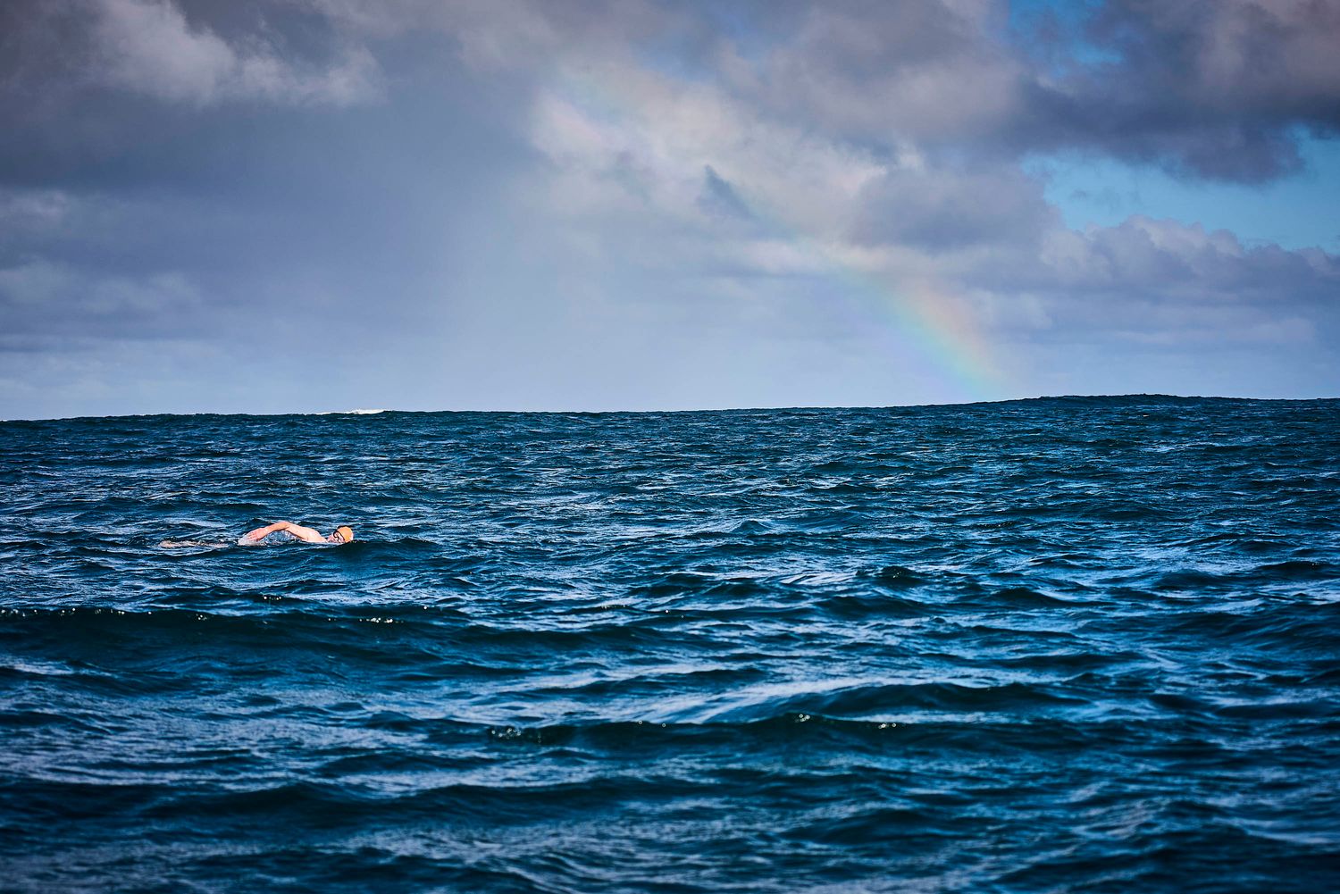 Offshore Swimming - Bass Strait, October 10 (back up date - 11th) Offshore Swimming - Bass Strait, October 10 (back up date - 11th)