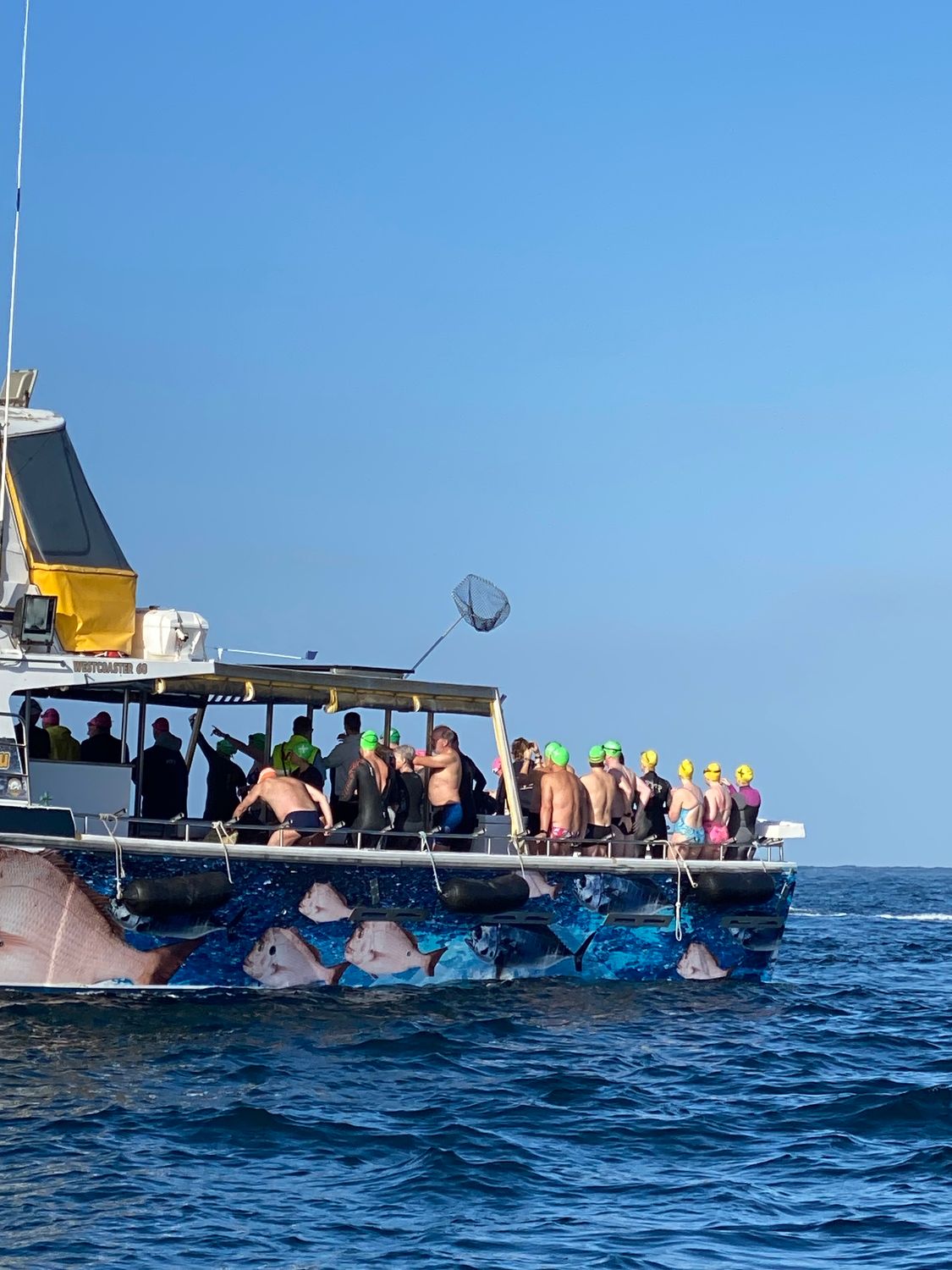 Offshore Swimming - Bass Strait, October 10 (back up date - 11th) Offshore Swimming - Bass Strait, October 10 (back up date - 11th)