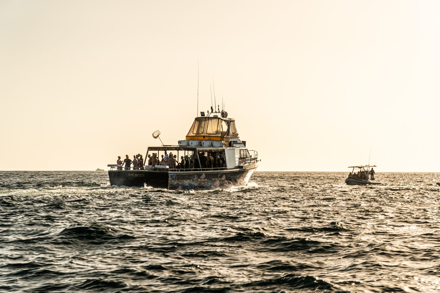Offshore Swimming - Bass Strait, October 10 (back up date - 11th) Offshore Swimming - Bass Strait, October 10 (back up date - 11th)
