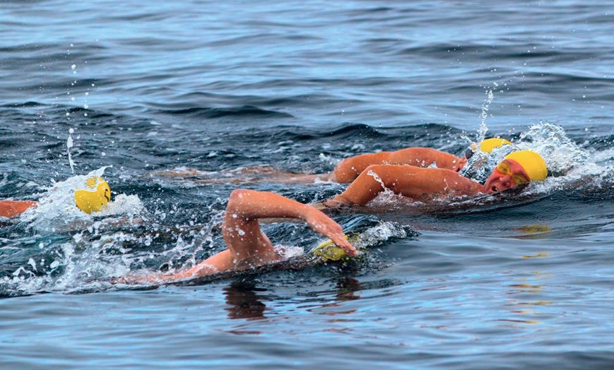 Summer Rip Swim Qualifying swim - November 7, Williamstown