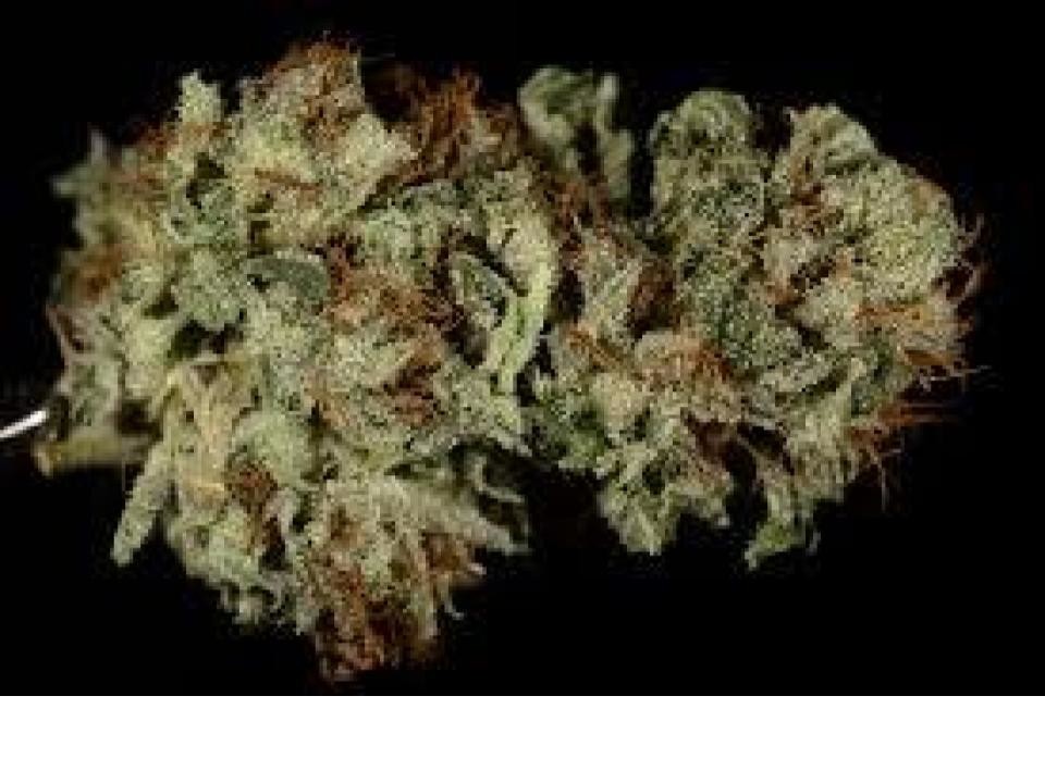 Sativa TOP SHELF