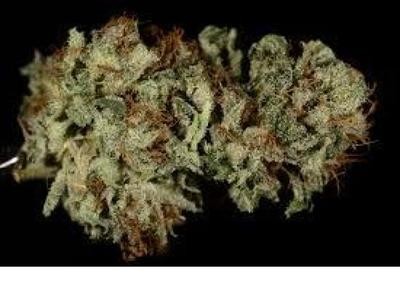 Sativa TOP SHELF