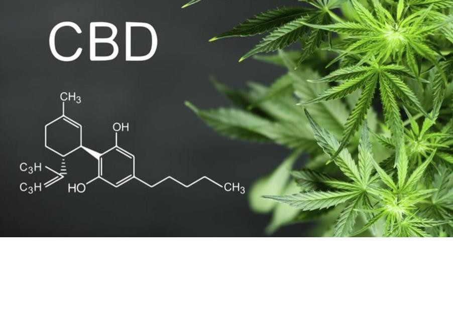 Everything CBD