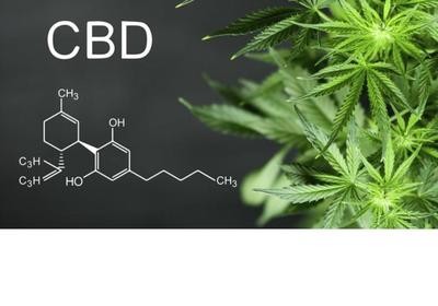 Everything CBD