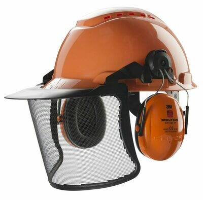 Forestry Helmet Combination