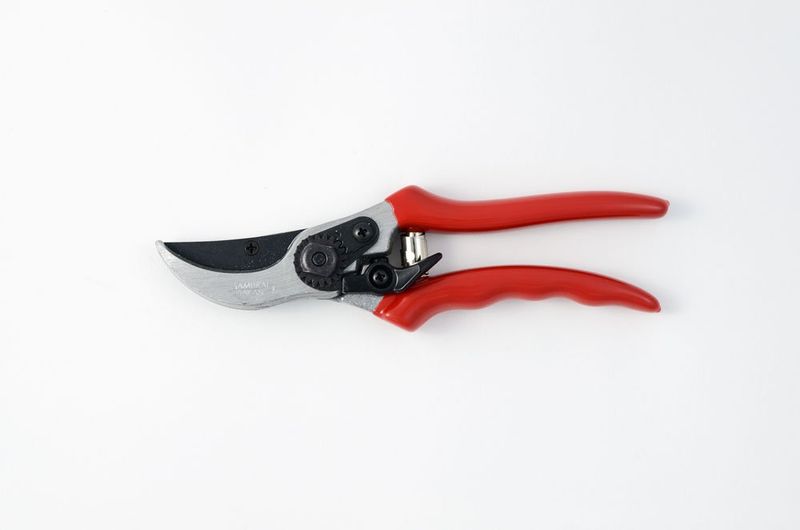 Samurai KS4T Secateurs