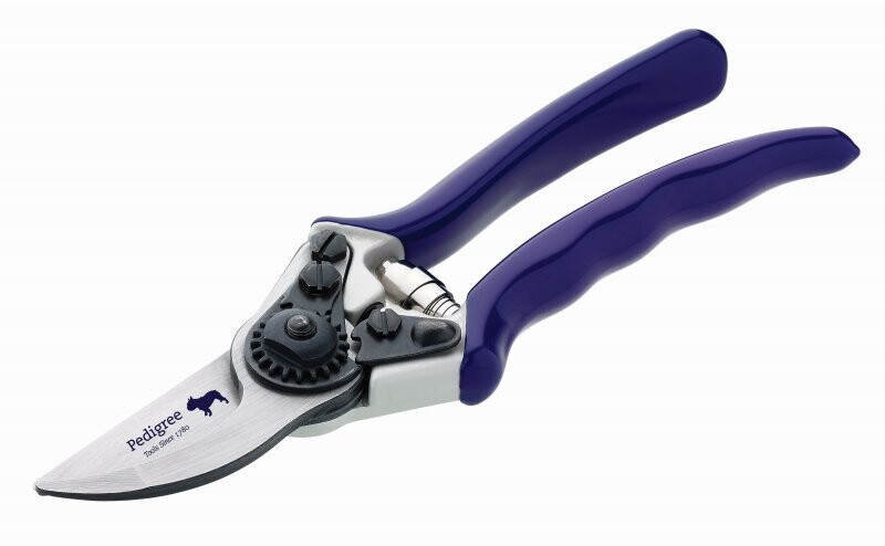 Pedigree Professional Bypass Secateurs