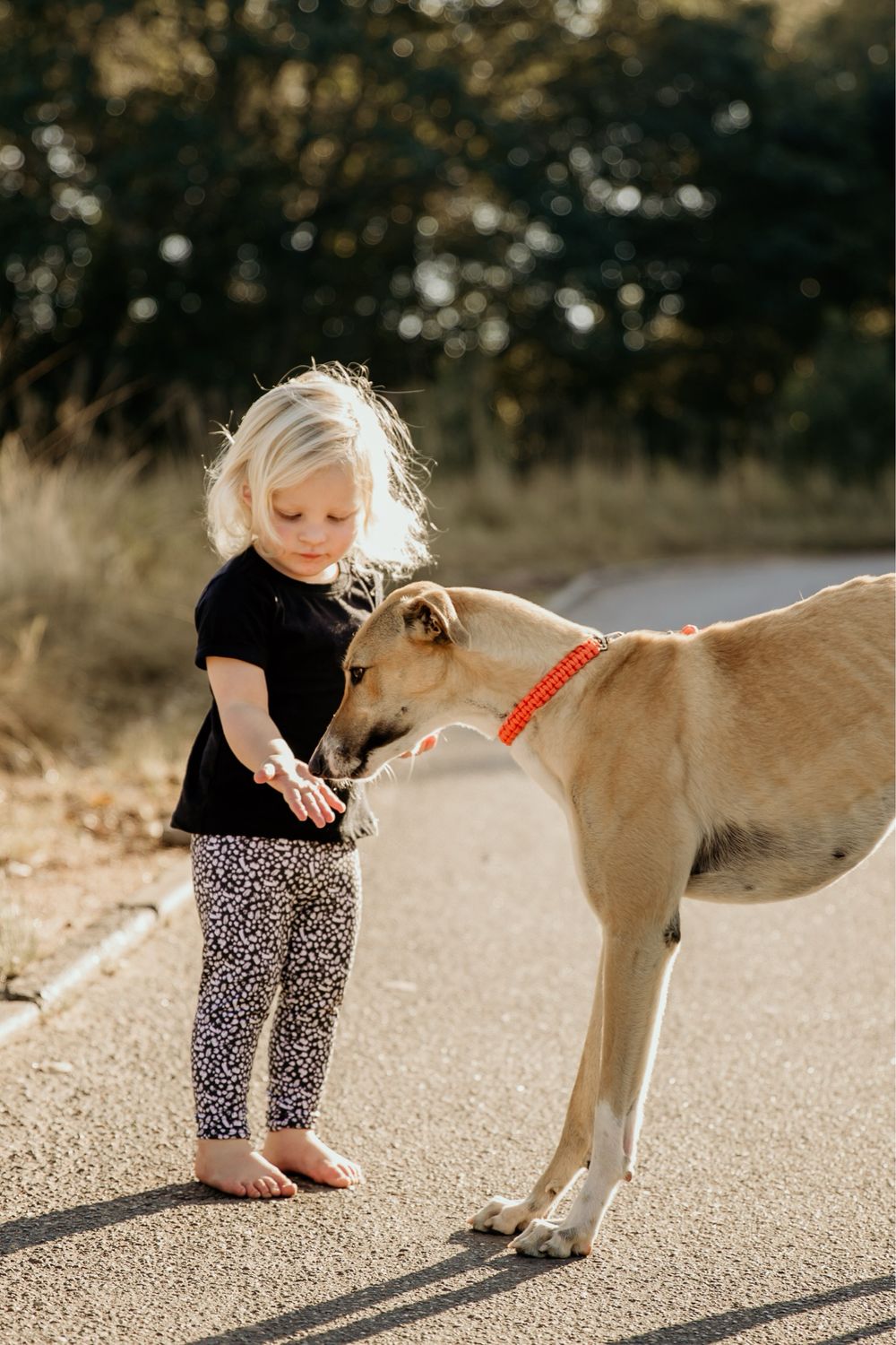 SPCA kids long tights
