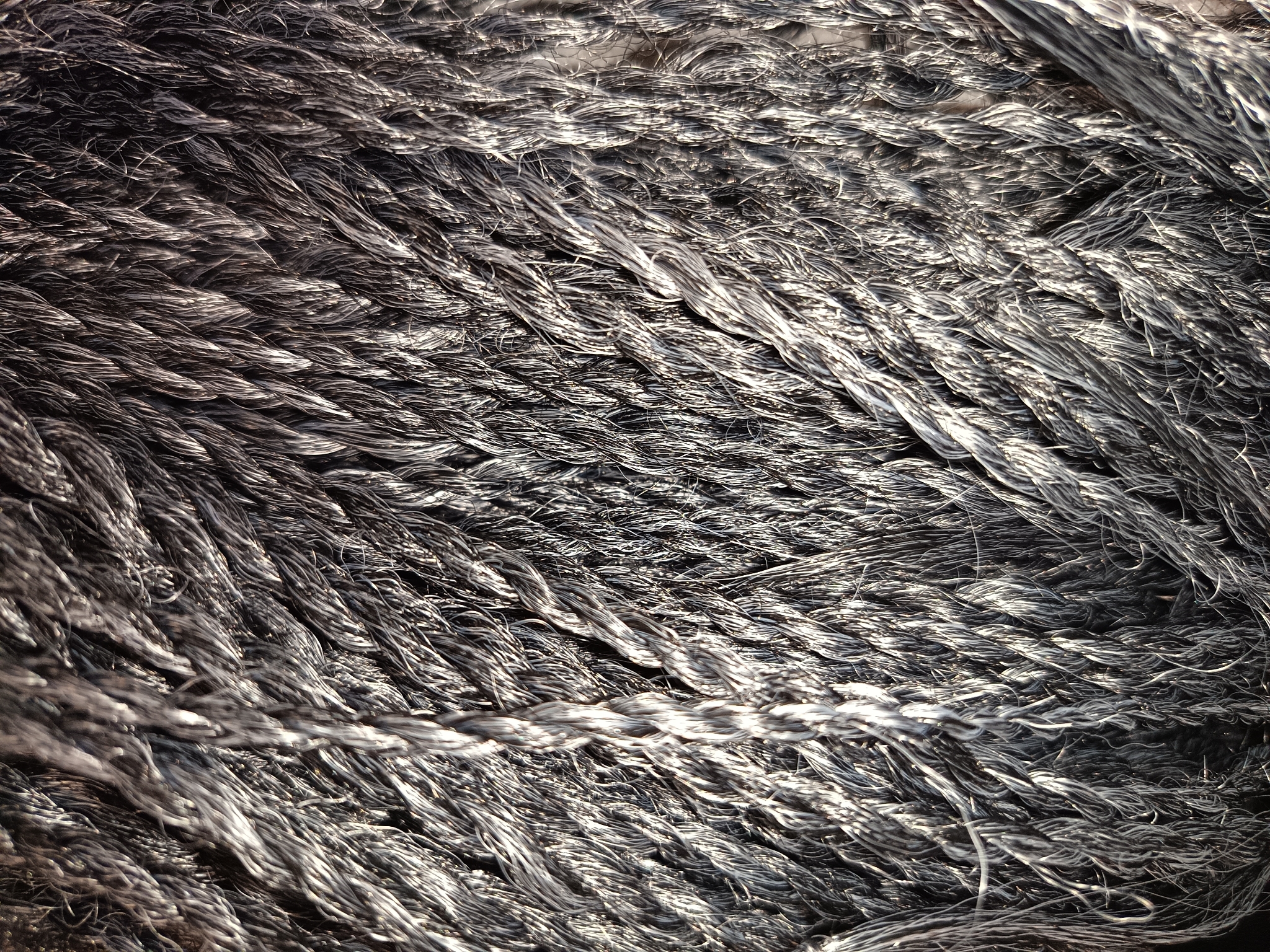 It's a Wig Braided Lace Wig - Perruque Senegal Twist  