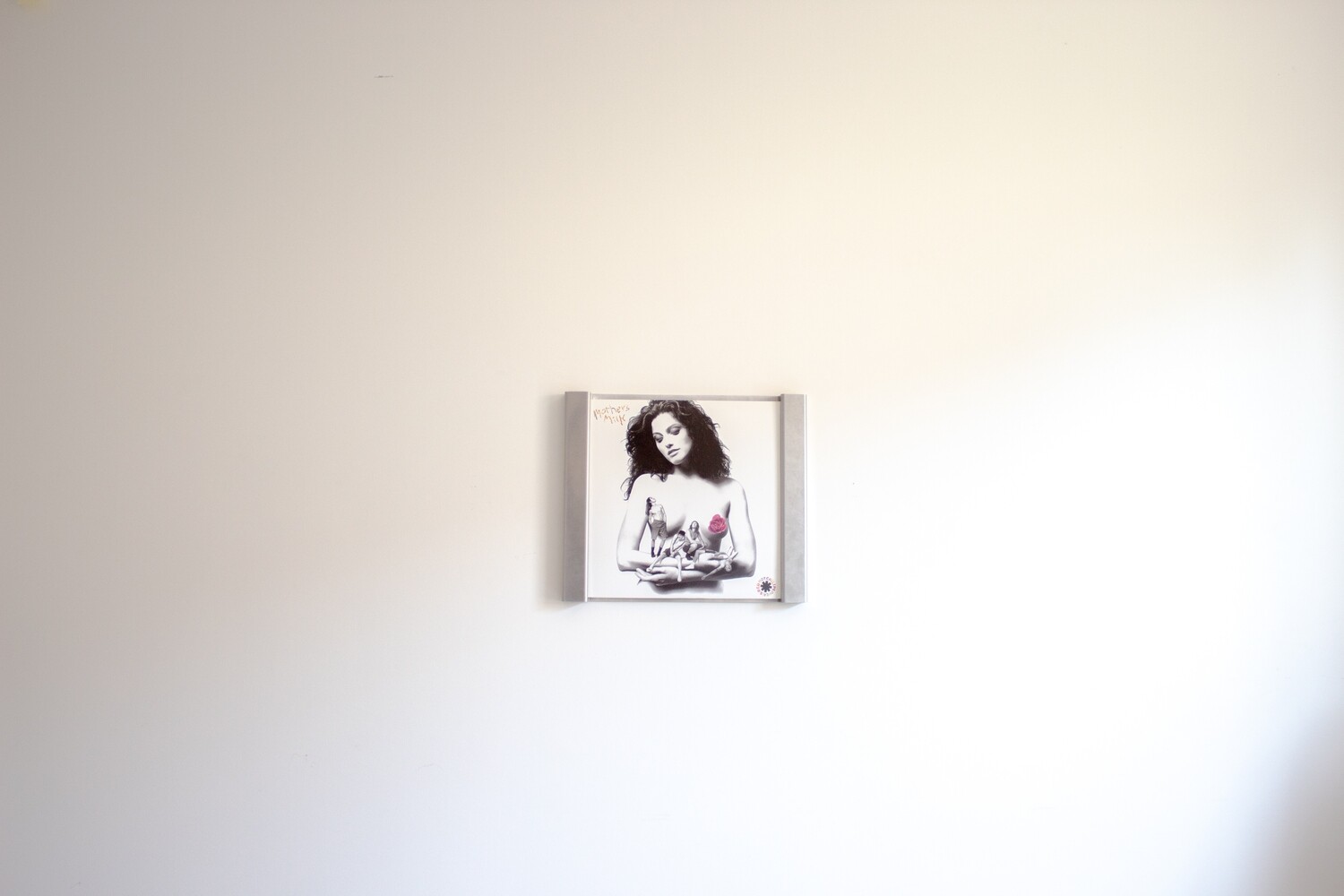 Vinyl Record Frame | Vinyl Record Wall Mount | Vinyl LP Shelf l Now Spinning Frame | Holder for 7” Singles &amp; 12” Vinyl Records