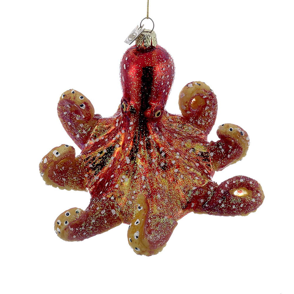 Octopus Octopus
