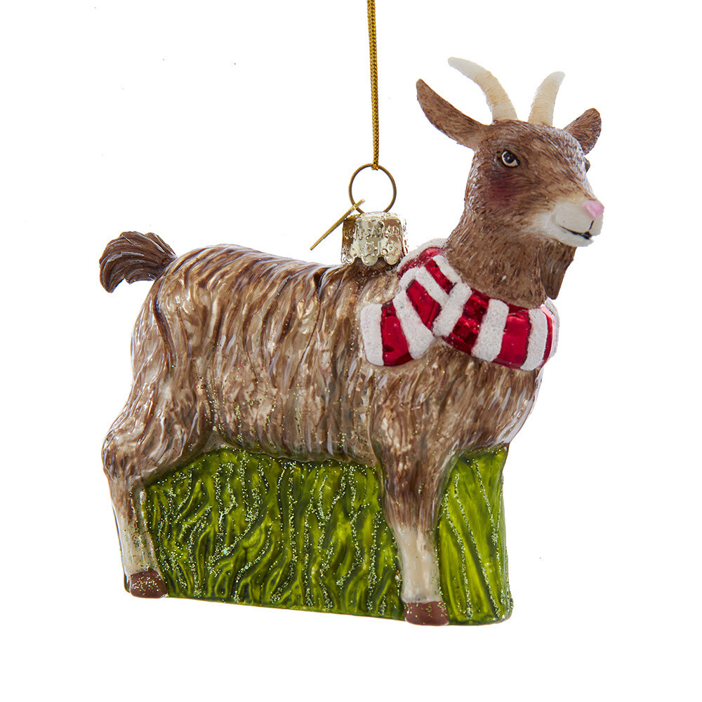 Goat With Scarf Goat With Scarf