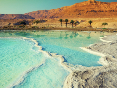 Dead Sea Wellness - Ruth Anne Sheridan