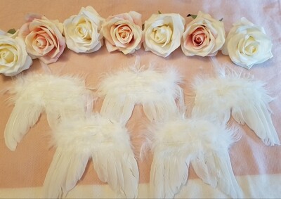 Angel wings (feather hanging wings) Angel wings (feather hanging wings)