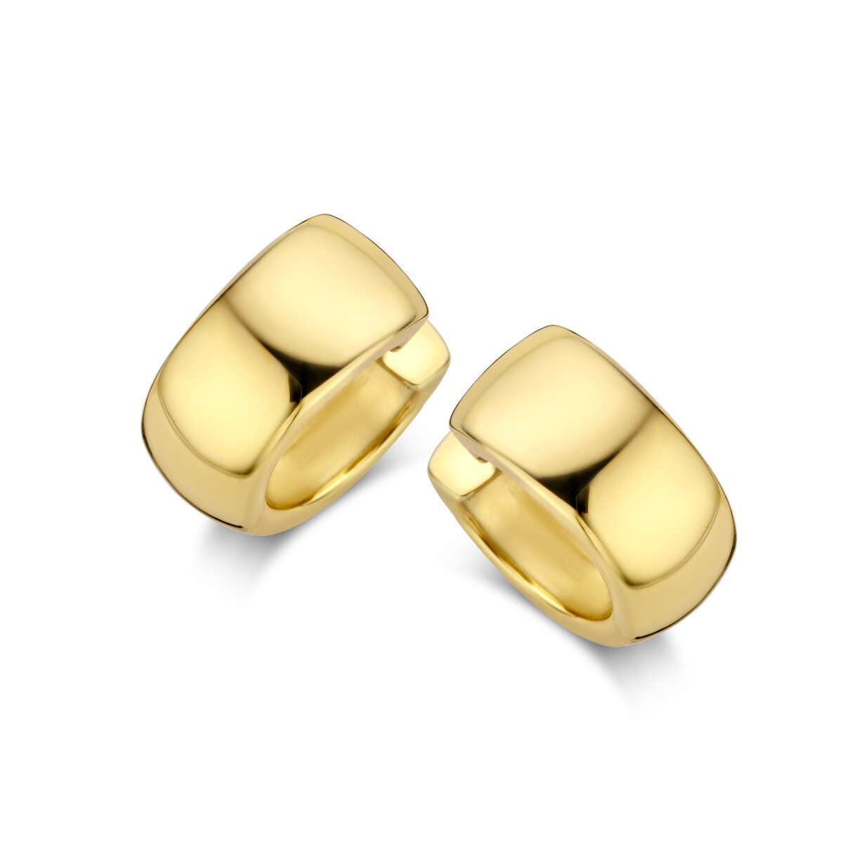 Naiomy oorbellen zilver/verguld