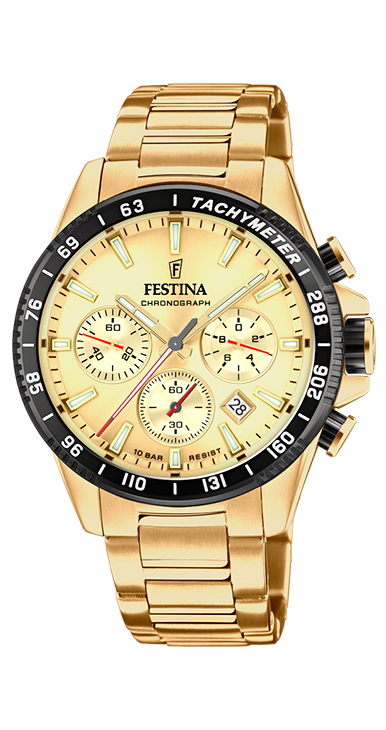 Festina heren