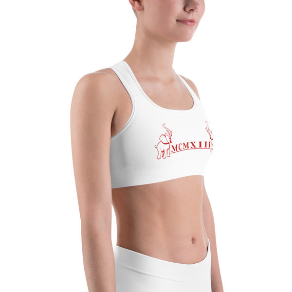 ROMAN ELEPHANT Sports bra