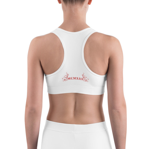 ROMAN ELEPHANT Sports bra