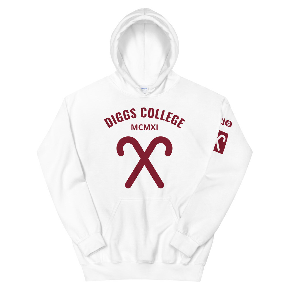 DIGGS COLLEGE Hoodie